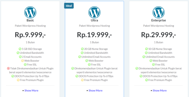 Paket hosting Aren Host