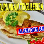 Cara Menurunkan Trigliserida Secara Alami Panduan Lengkap Untuk Kesehatan Optimal