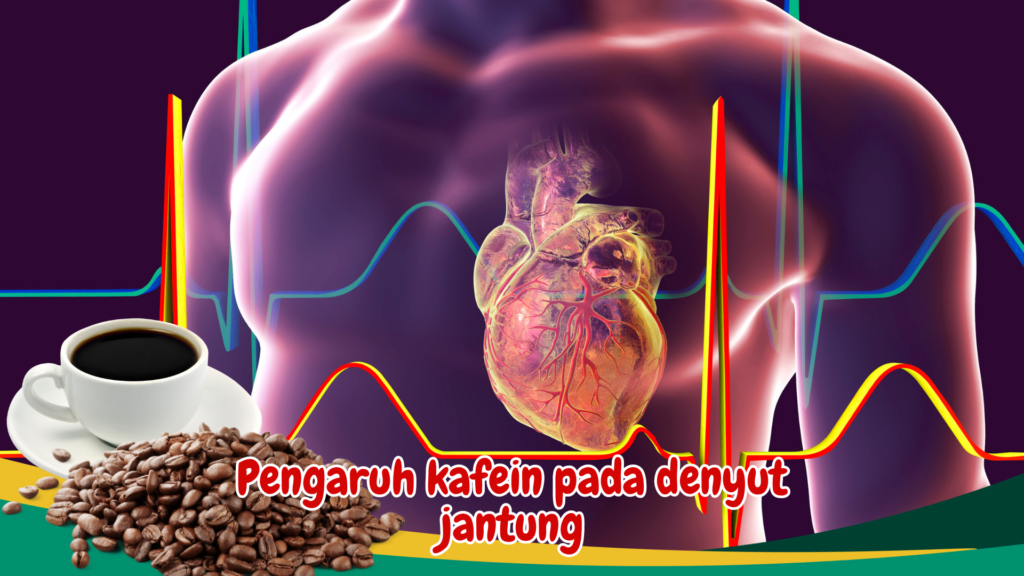 Efek Kafein Terhadap Detak Jantung Memahami Stimulan Dalam Sistem Kardiovaskular