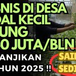 Ide Bisnis Modal Kecil Yang Menjanjikan Di Desa Menggali Potensi Lokal Untuk Kemandirian Ekonomi